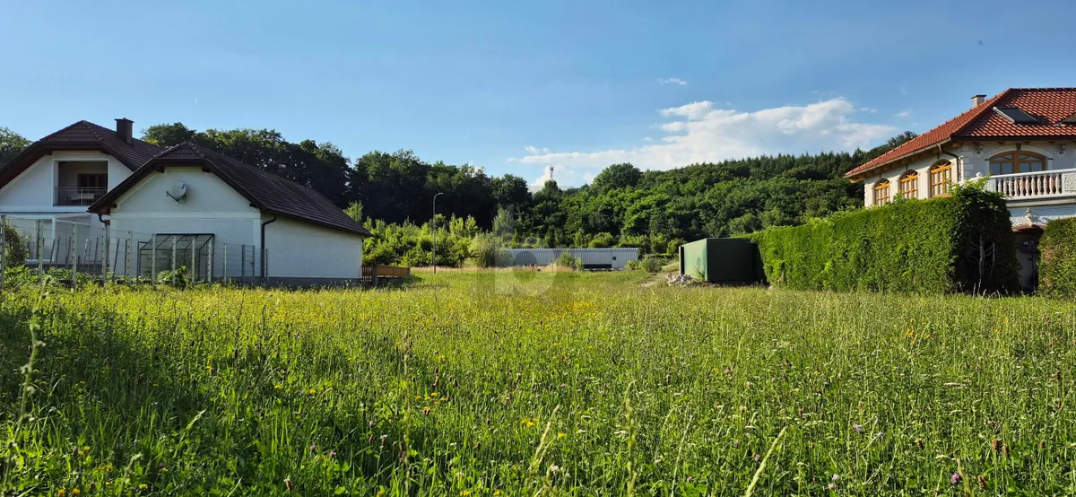 ATTRAKTIVES BAUGRUNDSTÜCK OHNE BAUZWANG NAHE AMSTETTEN - Ansicht 2