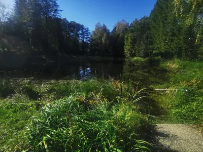 Grundstück kaufen in Sankt Pölten Land – 837 m², € 320.000 – Bild 3 von 8