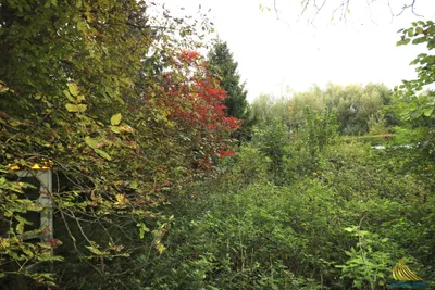 Grundstück kaufen in Steyr-Land – 1 037 m², € 95.000 – Bild 3 von 8