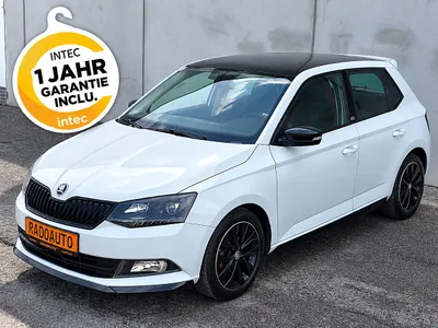Skoda Fabia 1.2 TSI Monte Carlo**PANORAMA**RÜCKFAHRKA...