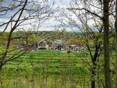 Haus kaufen in Mistelbach – 119 m², € 99.999 – Bild 6 von 7