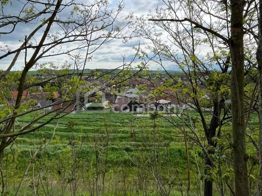 Verborgener Schatz im Reintal - ein Weinviertler Wohnjuwel mit Potenzial, Reintal