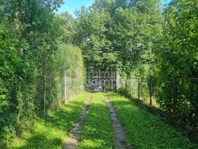Grundstück kaufen in Mödling – 3 928 m², € 845.000 – Bild 8 von 10