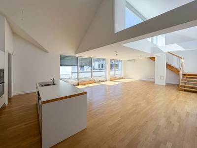 PALAIS HARDEGG: 3-Zimmer-DG-Wohnung mit 3 Terrassen zu mieten an der Freyung - wohnen in 1010 Wien
