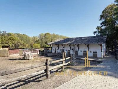 Immobilie kaufen in Tulln – 17 223 m², € 450.000 – Bild 9 von 54