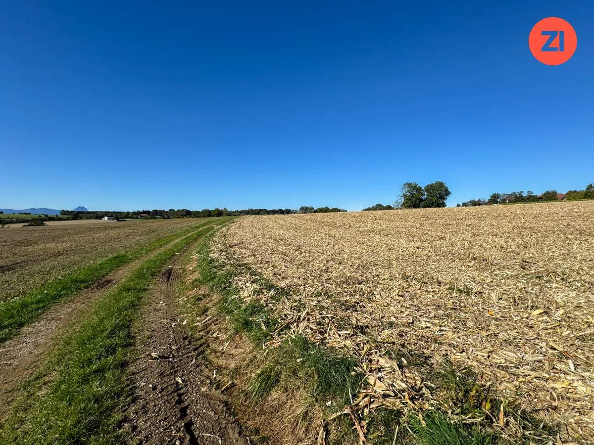 Kremsmünster - 5,3 ha landwirtschaftliche Fläche in Top - Lage! - Widok 3