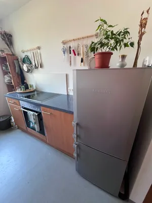NUR MIT WIENER WOHNTICKET 1-Zimmer Wohnung – Bild 3