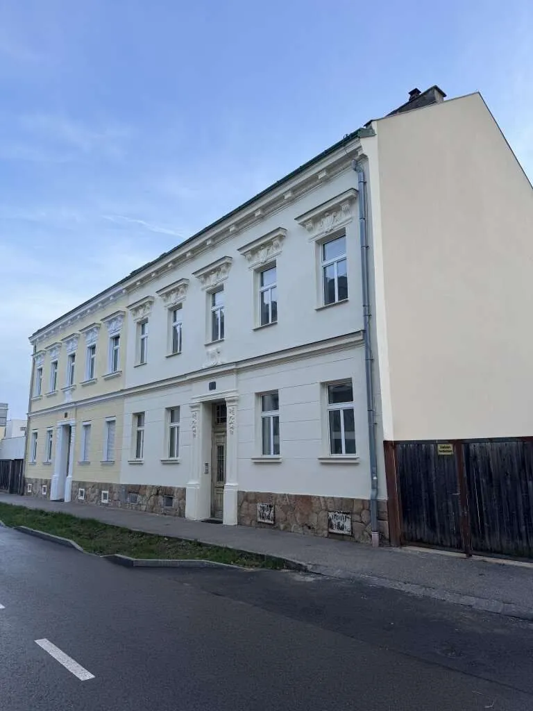 Attraktives Zinshaus im Stil der 50er Jahre in 2700 Wr. Neustadt – pohled 2