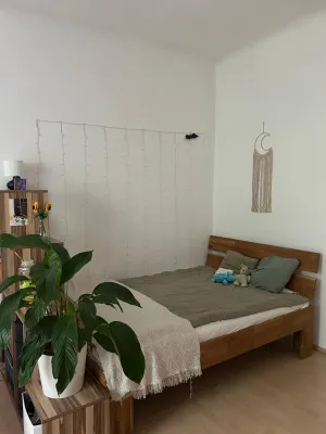 1-Zimmer-Wohnung mieten in Graz – 37 m², € 430 – Bild 3 von 9
