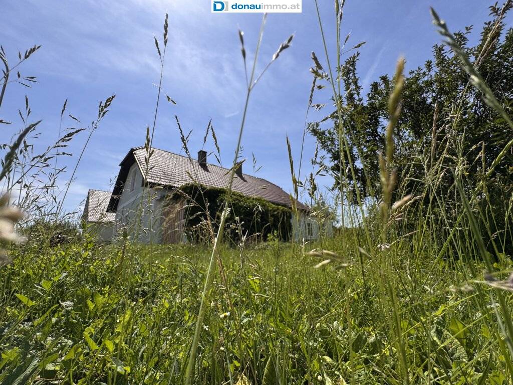 "HUGO" braucht liebevolle Handwerker! Charmanter Bungalow in Loosdorf mit Garten - Sanierungsprojekt!, Loosdorf