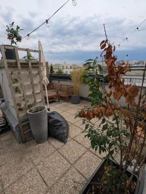 3-Zimmer-Wohnung mieten in Wien – 80 m², € 1.539 – Bild 7 von 17