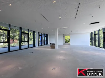 Gewerbeimmobilie kaufen in Linz Land – € 4.950.000 – Bild 16 von 23