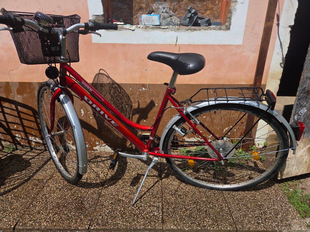 e-bike flyer damen Flyer Via Pro