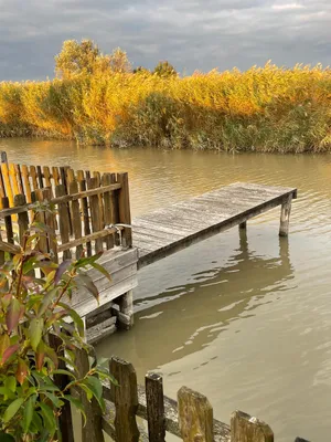 Haus kaufen in Neusiedl am See – 113 m², € 895.000 – Bild 3 von 10