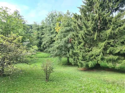 Gewerbeimmobilie kaufen in Sankt Pölten Land – 3 123 m², € 699.000 – Bild 3 von 3