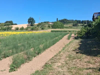 10-Zimmer-Immobilie kaufen in Südoststeiermark – 378 m², € 298.000 – Bild 39 von 39
