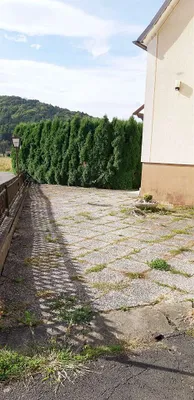 10-Zimmer-Immobilie kaufen in Südoststeiermark – 378 m², € 298.000 – Bild 36 von 39