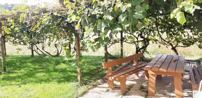 10-Zimmer-Immobilie kaufen in Südoststeiermark – 378 m², € 298.000 – Bild 3 von 39
