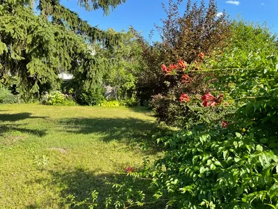 10-Zimmer-Immobilie kaufen in Hollabrunn – 300 m², € 389.000 – Bild 17 von 24