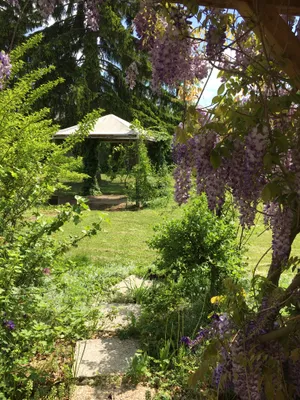 10-Zimmer-Immobilie kaufen in Hollabrunn – 300 m², € 389.000 – Bild 16 von 24