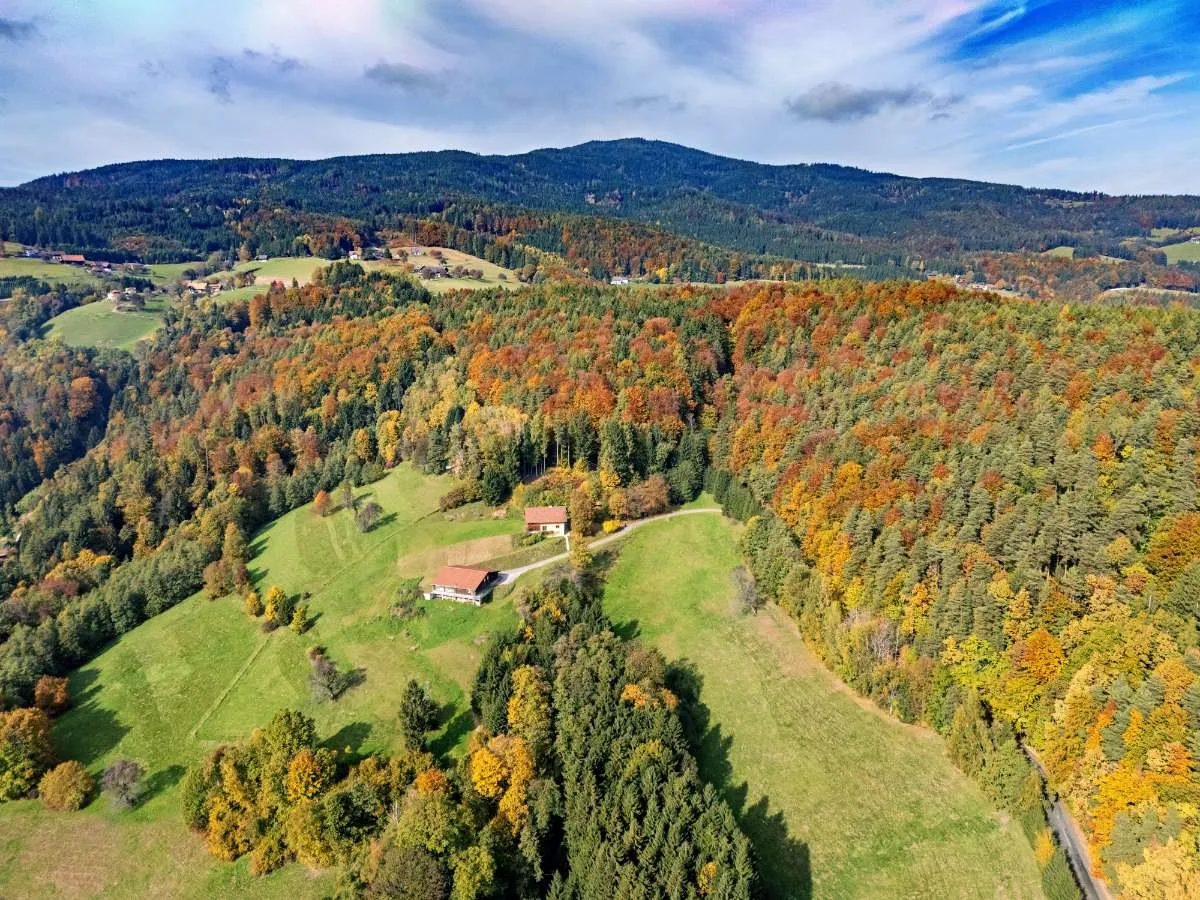 Leben mit Weitblick: Ihr Refugium inmitten von Natur und Licht - Ansicht 3