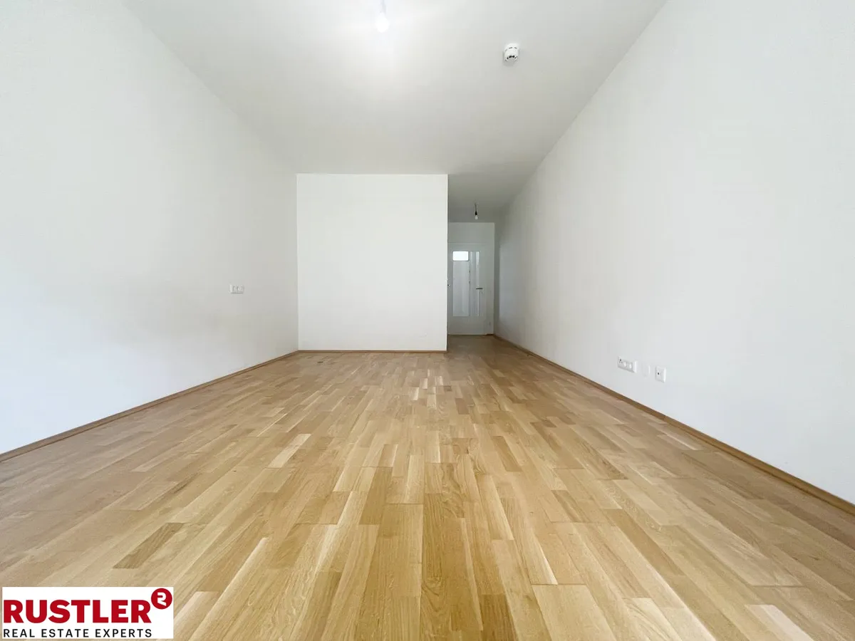 Apartment in Graz - View 3