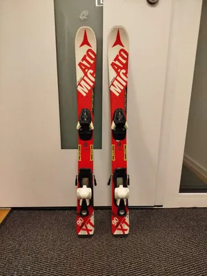 Atomic Redster 90 kaufen - willhaben