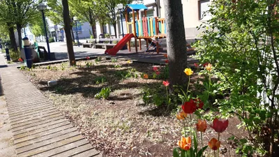 1-Zimmer-Wohnung mieten in Neusiedl am See – 33 m², € 450 – Bild 8 von 8
