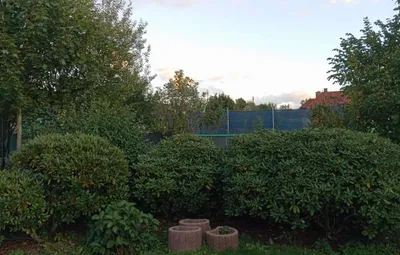 3-Zimmer-Wohnung mieten in Sankt Veit an der Glan – 72 m², € 880 – Bild 10 von 14