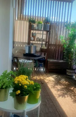 2-Zimmer-Wohnung mieten in Graz-Umgebung – 52 m², € 454 – Bild 4 von 6