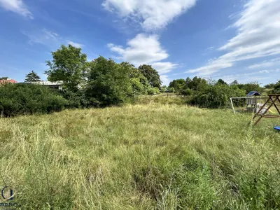 Grundstück mieten in Hollabrunn – 18 000 m² – Bild 10 von 14