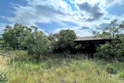 Grundstück mieten in Hollabrunn – 18 000 m² – Bild 7 von 14