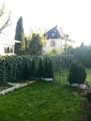 3-Zimmer-Wohnung mieten in Klagenfurt – 60 m², € 1.090 – Bild 8 von 9
