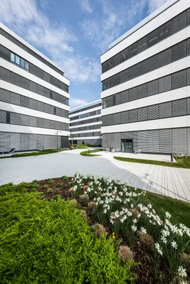 Gewerbeimmobilie mieten in Wien – 2 046 m², € 16 – Bild 11 von 14