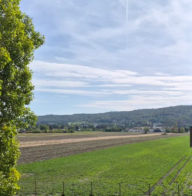2-Zimmer-Wohnung mieten in Korneuburg – 64 m², € 950