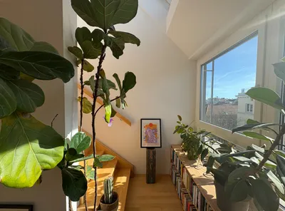 2-Zimmer-Wohnung mieten in Wien – 55 m², € 1.070 – Bild 6 von 16