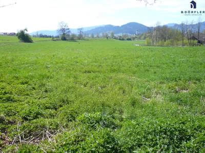 Immobilie kaufen in Feldkirchen – 9 425 m², € 89.000 – Bild 2 von 2
