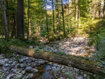 3-Zimmer-Wohnung kaufen in Salzburg-Umgebung – 71,16 m², € 459.000 – Bild 22 von 23