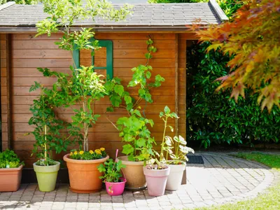 3-Zimmer-Wohnung kaufen in Salzburg-Umgebung – 71,16 m², € 459.000 – Bild 6 von 23