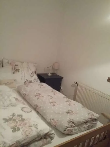 Sehr schöne Wohnung zu vermieten - Ansicht 2