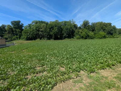 Grundstück kaufen in Linz Land – 650 m², € 279.000