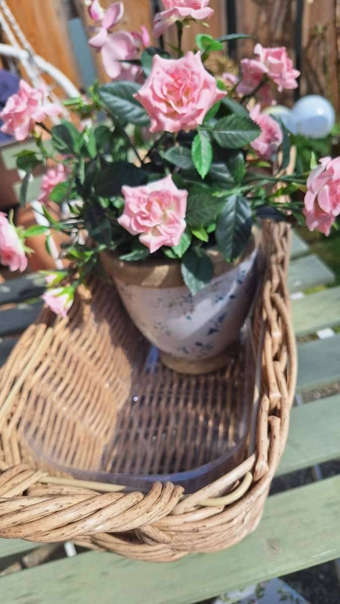 terracotta blumenkasten 100 cm NEU !! Orig. ital. Blumenkasten mit Dekor 52 cm breit aus Terracotta,  La  Casa