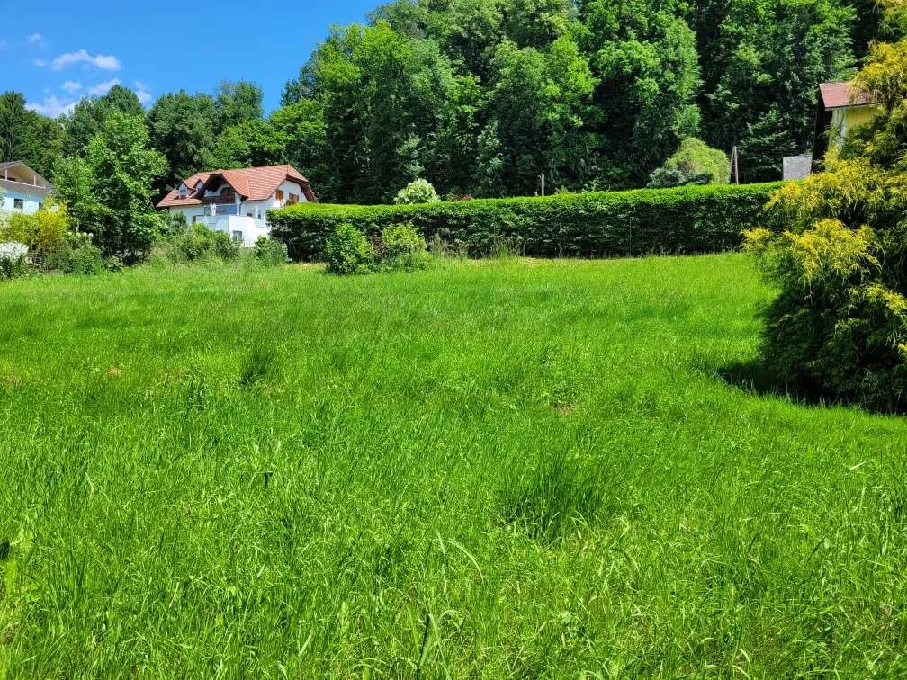 Traumhaftes Baugrundstück in Hanglage - Privatverkauf - Ansicht 3