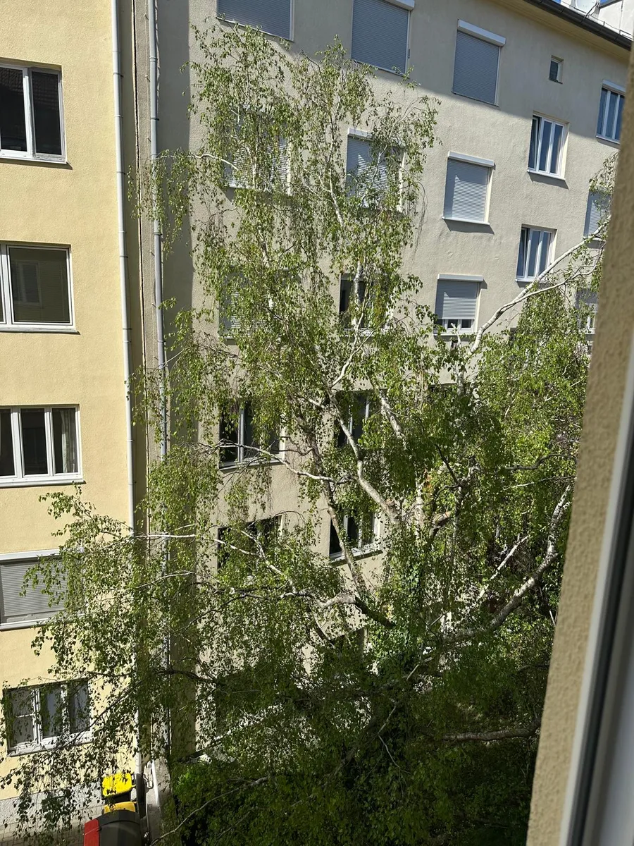 Wohnung – Baden - Ansicht 3