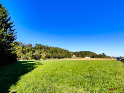 Grundstück kaufen in Leibnitz – 4 264 m², € 1.279.000 – Bild 3 von 6