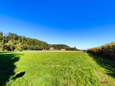 Grundstück kaufen in Leibnitz – 4 264 m², € 1.279.000 – Bild 4 von 6