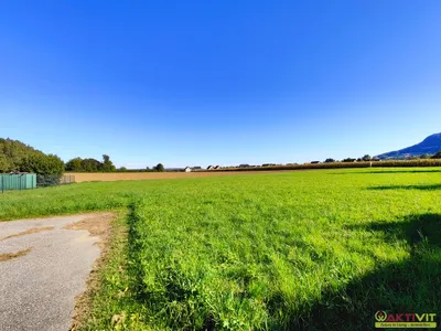 Grundstück kaufen in Leibnitz – 4 264 m², € 1.279.000 – Bild 5 von 6