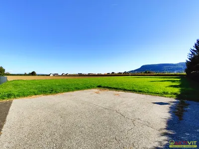 Grundstück kaufen in Leibnitz – 4 264 m², € 1.279.000 – Bild 6 von 6