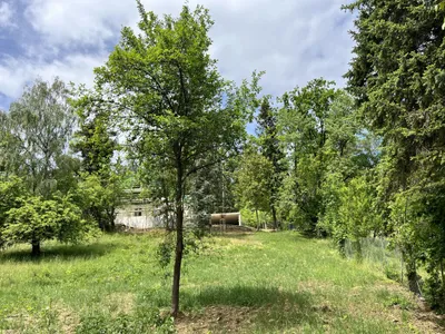 Grundstück kaufen in Graz – 2 585 m², € 1.125.000 – Bild 5 von 12