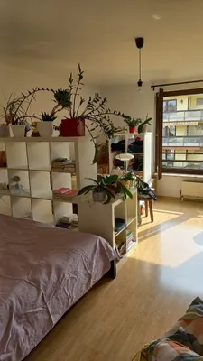 1-Zimmer-Wohnung mieten in Salzburg Stadt – 35 m², € 560